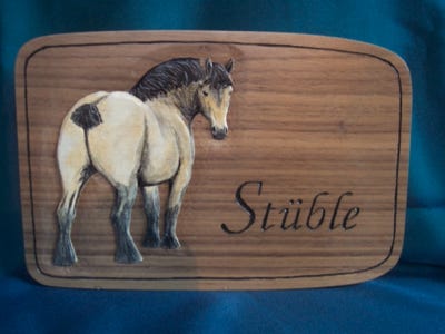 Türschild Relief Holz